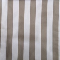 ST-01 Beige Stripe main image
