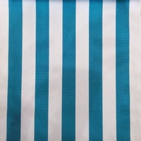 ST-05 Blue Stripe