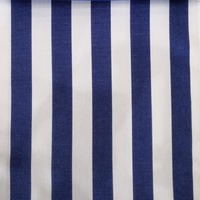 ST-06 D. Blue Stripe