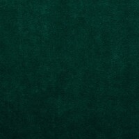 AB-52 Dark Green Velvet 